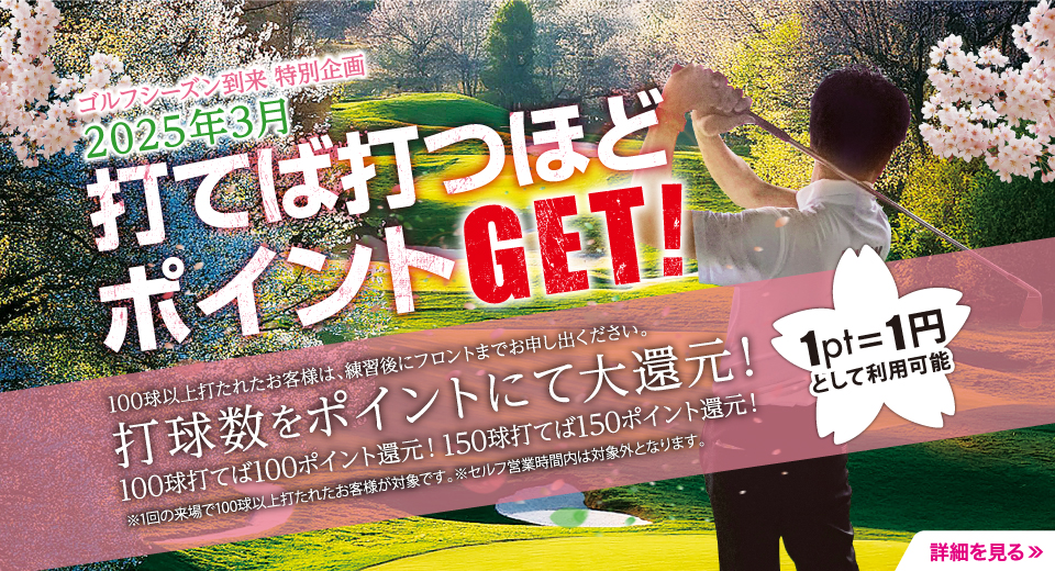 2025年3月ポイントGET