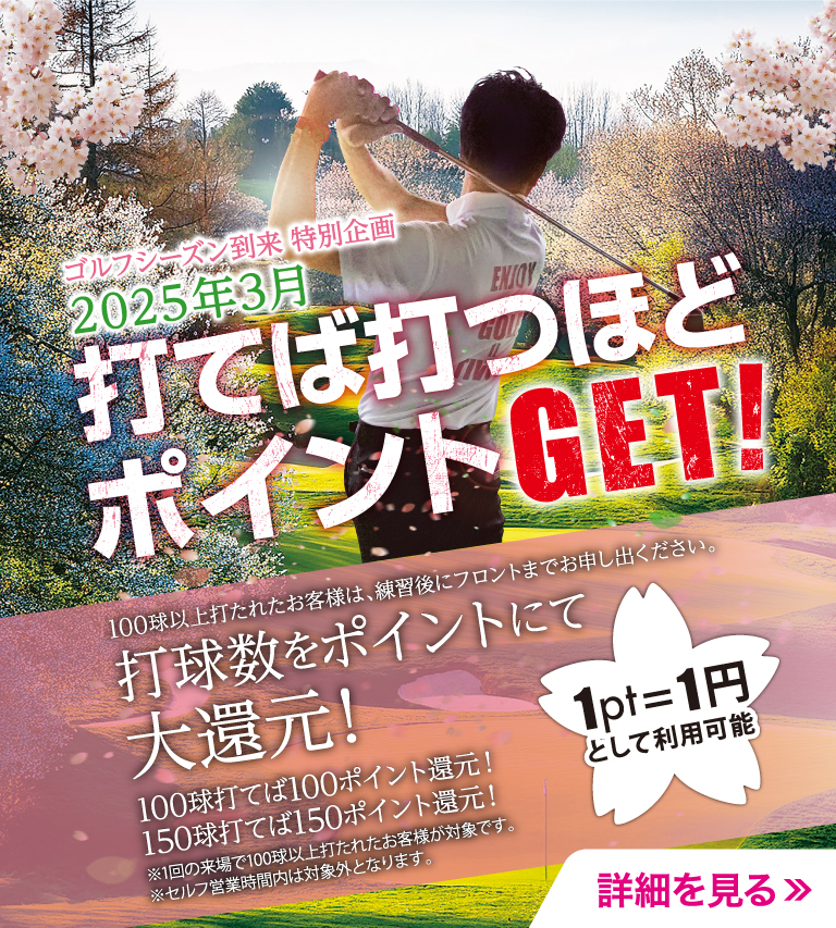 2025年3月ポイントGET